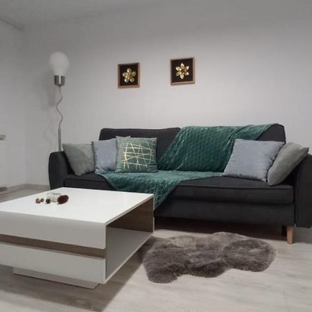 City View Kanonierska - Przy Parku Blisko Centrum Świdnica Eksteriør billede